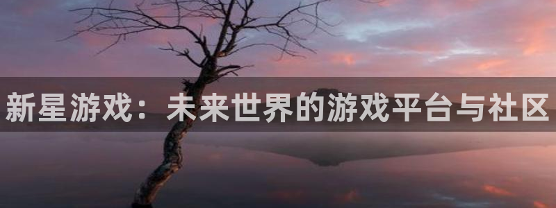 赢咖娱乐是什么：新星游戏：未来世界的游戏平台与社区