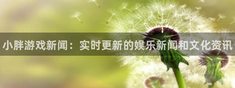 赢咖娱乐：小胖游戏新闻：实时更新的娱乐新闻和文化资讯