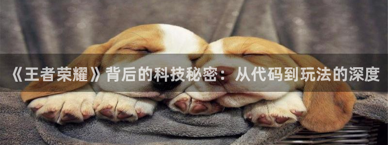 赢咖娱乐注册地址：《王者荣耀》背后的科技秘密：从代码到玩法的
