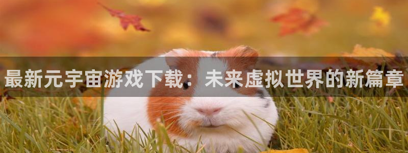 赢咖娱乐官方平台：最新元宇宙游戏下载：未来虚拟世界的新篇章