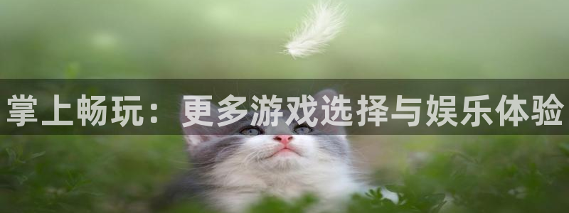 赢咖娱乐平台：掌上畅玩：更多游戏选择与娱乐体验