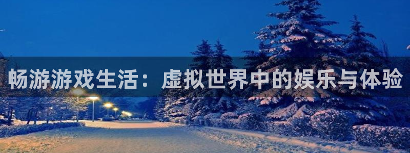 赢咖娱乐主管：畅游游戏生活：虚拟世界中的娱乐与体验