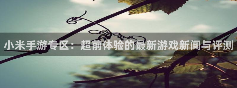 赢咖娱乐平台官网入口：小米手游专区：超前体验的最新游戏新闻与