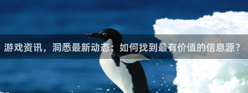 赢咖娱乐登录：游戏资讯，洞悉最新动态：如何找到最有价值的信息