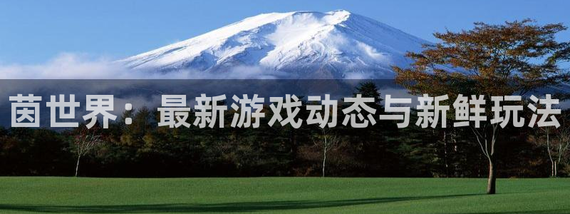 赢咖娱乐平台负责人：茵世界：最新游戏动态与新鲜玩法