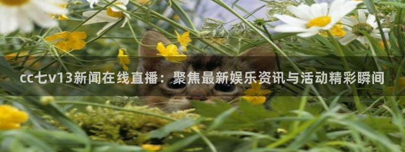 袋鼠直播体育发布v14版本.一键得好礼.org